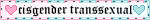 white blinkie with the text 'cisgender transsexual'. on the left of the text is a pink heart and on the right is a blue heart.