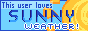 blue button with the text 'this user loves sunny weather!' in the background there is a pixelated drawing of the sun.